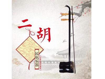 招聘常州二胡家教老师